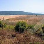 Парцел в с. Рогачево, Област Добрич - 24221 кв.м за 14 €/кв.м - Снимка #1