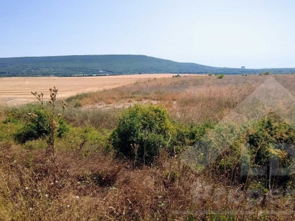 Парцел в с. Рогачево, Област Добрич - 24221 кв.м за 14 €/кв.м - Снимка #1