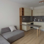 Дава се под наем Двустаен апартамент в София, Мусагеница - 62 кв.м за 459 € - Снимка #1