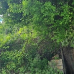 Парцел в Разград, Абритус - 348 кв.м за 264 €/кв.м - Снимка #1