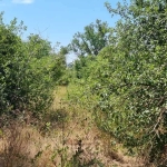 Парцел в Разград, Промишлена зона - Запад - 800 кв.м за 39 €/кв.м - Снимка #1