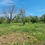 Парцел в Разград, Промишлена зона - Запад - 895 кв.м за 29 €/кв.м - Снимка #1