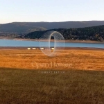 Земеделски имот в Батак -  кв.м за 13 €/дка - Снимка #1