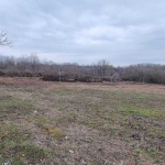 Парцел в Разград, Орел - 1766 кв.м за 28 €/кв.м - Снимка #1