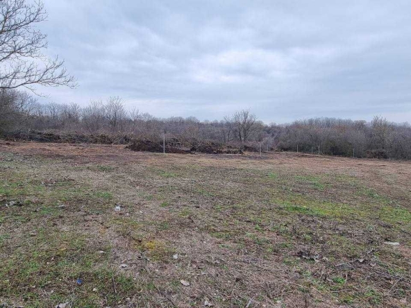 Парцел в Разград, Орел - 1766 кв.м за 28 €/кв.м - Снимка #1