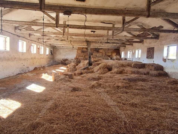 Промишлена сграда в с. Кръстевич, Област Пловдив - 3412 кв.м за 24 €/кв.м - Снимка #1