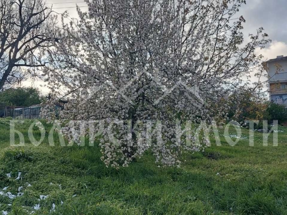 Парцел в Лясковец - 525 кв.м за 44 €/кв.м - Снимка #1