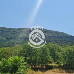 Парцел в Асеновград - 2000 кв.м за 19 €/кв.м - Снимка #1