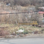 Парцел в Банкя - 2600 кв.м за 65 €/кв.м - Снимка #1