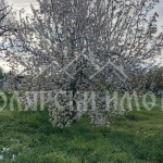 Парцел в Лясковец - 525 кв.м за 86 €/кв.м - Снимка #1