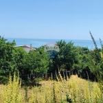 Парцел в к.к. Златни пясъци - 901 кв.м за 29 €/кв.м - Снимка #1