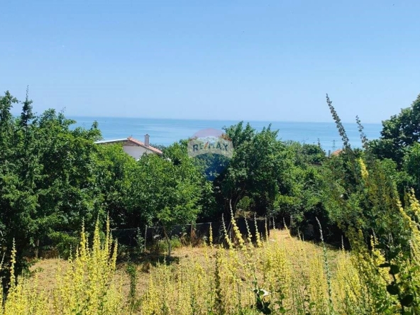 Парцел в к.к. Златни пясъци - 901 кв.м за 29 €/кв.м - Снимка #1