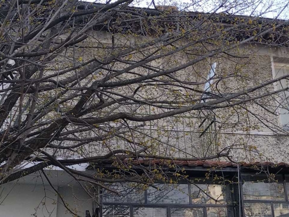 Етаж от къща в Варна, Цветен квартал - 60 кв.м за 1817 €/кв.м - Снимка #1