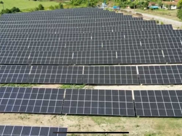 Парцел в Цар Калоян - 12500 кв.м за 88 €/кв.м - Снимка #1