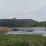 Парцел в с. Шилковци, Област Велико Търново - 1134 кв.м за 18 €/кв.м - Снимка #1