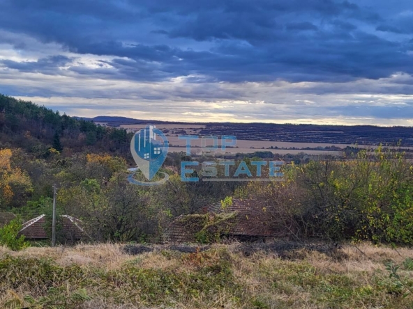 Парцел в с. Вишовград, Област Велико Търново - 2100 кв.м за 8 €/кв.м - Снимка #1