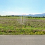 Земеделски имот в с. Куртово Конаре, Област Пловдив -  кв.м за 6 €/дка - Снимка #1