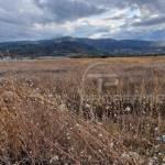 Парцел в Пловдив, Тракия - 2833 кв.м за 135 €/кв.м - Снимка #1