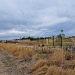 Парцел в с. Крумово, Област Пловдив - 1486 кв.м за 101 €/кв.м - Снимка #1