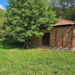 Парцел в с. Кралев дол, Област Перник - 3750 кв.м за 60 €/кв.м - Снимка #1