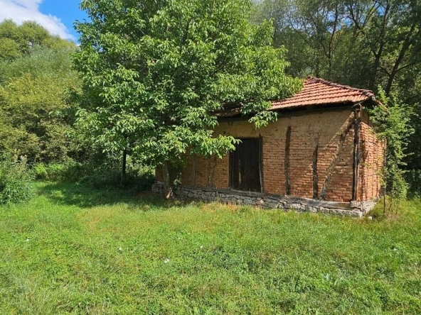 Парцел в с. Кралев дол, Област Перник - 3750 кв.м за 60 €/кв.м - Снимка #1