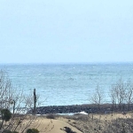 Двустаен апартамент в к.к. Слънчев бряг - 90 кв.м за 1278 €/кв.м - Снимка #1