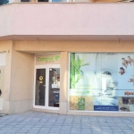 Магазин в Пловдив, Западен - 156 кв.м за 962 €/кв.м - Снимка #1