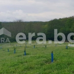 Земеделски имот в с. Бенковски, Област Варна -  кв.м за 3 €/дка - Снимка #1