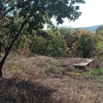 Парцел в с. Борика, Област София-област - 850 кв.м за 36 €/кв.м - Снимка #1