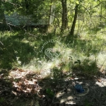 Парцел в с. Дюлино, Област Варна - 1530 кв.м за 12 €/кв.м - Снимка #1