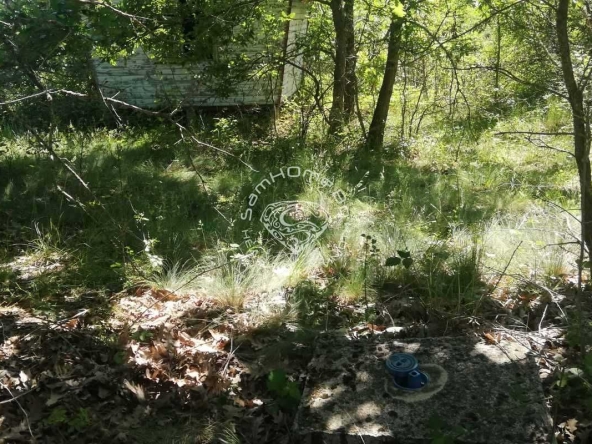 Парцел в с. Дюлино, Област Варна - 1530 кв.м за 12 €/кв.м - Снимка #1