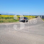 Парцел в с. Лозен, Област София-град - 6950 кв.м за 110 €/кв.м - Снимка #1