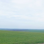 Земеделски имот в Разград, Промишлена зона - Изток -  кв.м за 488 €/дка - Снимка #1