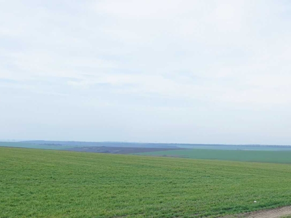 Земеделски имот в Разград, Промишлена зона - Изток -  кв.м за 509 €/дка - Снимка #1