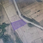 Земеделски имот в Велинград -  кв.м за 45000 €/дка - Снимка #1