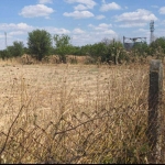 Парцел в с. Опан, Област Стара Загора - 2000 кв.м за 4 €/кв.м - Снимка #1