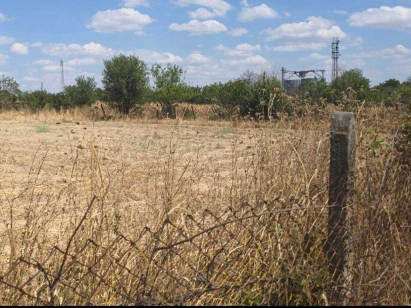 Парцел в с. Опан, Област Стара Загора - 2000 кв.м за 4 €/кв.м - Снимка #1