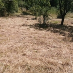 Парцел в с. Дръмша, Област София-област - 1000 кв.м за 50 €/кв.м - Снимка #1