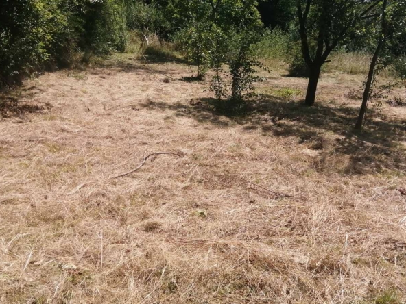 Парцел в с. Дръмша, Област София-област - 1000 кв.м за 50 €/кв.м - Снимка #1