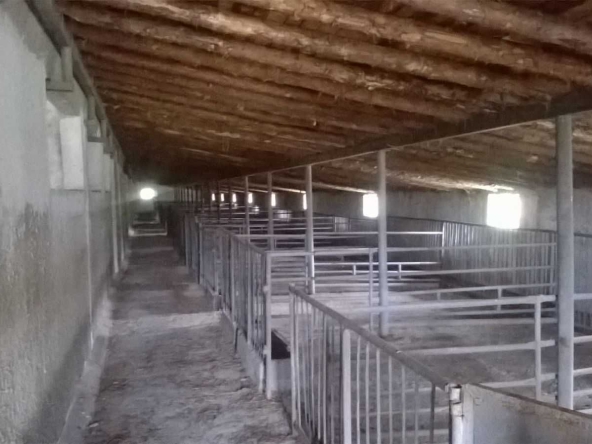 Промишлена сграда в с. Доброселец, Област Хасково - 10250 кв.м за 8 €/кв.м - Снимка #1