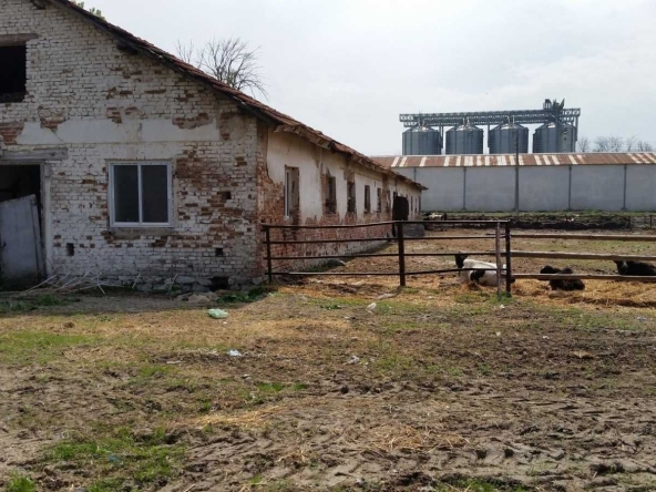 Парцел в с. Чешнегирово, Област Пловдив - 2751 кв.м за 20 €/кв.м - Снимка #1