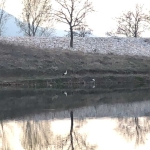 Парцел в Асеновград - 3000 кв.м за 7 €/кв.м - Снимка #1