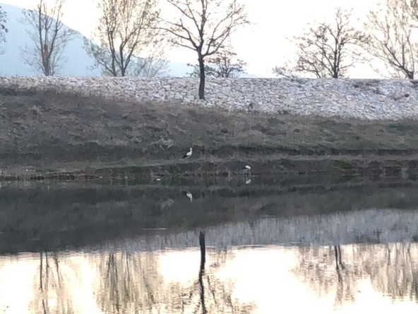 Парцел в Асеновград - 3000 кв.м за 7 €/кв.м - Снимка #1