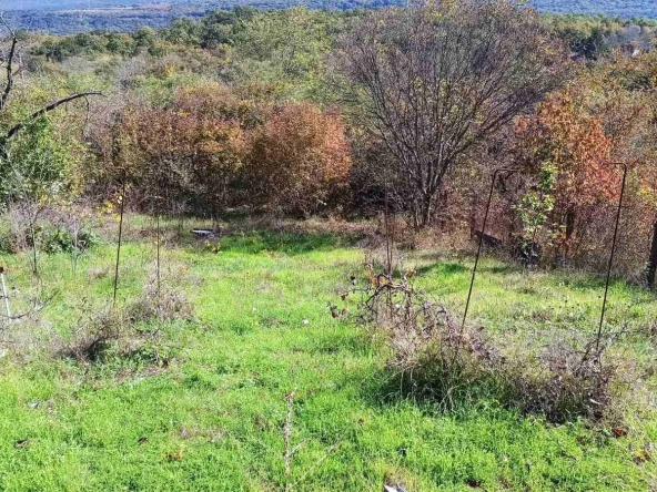 Парцел в Варна, Чайка - 700 кв.м за 60 €/кв.м - Снимка #1