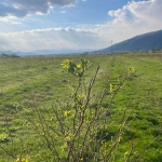 Земеделски имот в Карлово -  кв.м за 2 €/дка - Снимка #1