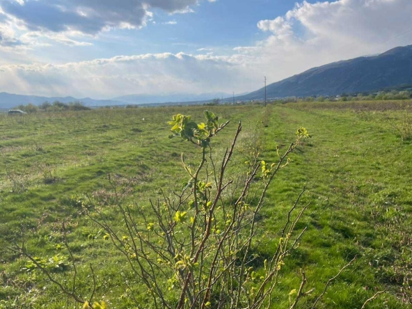 Земеделски имот в Карлово -  кв.м за 2 €/дка - Снимка #1