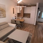 Дава се под наем Двустаен апартамент в София, Бъкстон - 60 кв.м за 690 € - Снимка #1