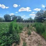 Парцел в с. Тополяне, Област Стара Загора - 2574 кв.м за 7 €/кв.м - Снимка #1