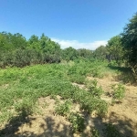 Парцел в Разград, Орел - 892 кв.м за 60 €/кв.м - Снимка #1