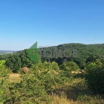 Парцел в с. Малка Верея, Област Стара Загора - 1800 кв.м за 22 €/кв.м - Снимка #1